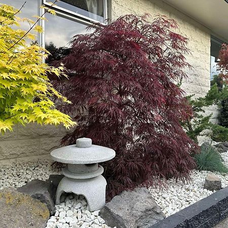 The Airport Homestay House 크라이스트처치 외부 사진